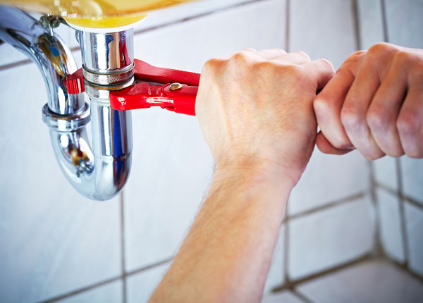 About White Cloud Plumbers